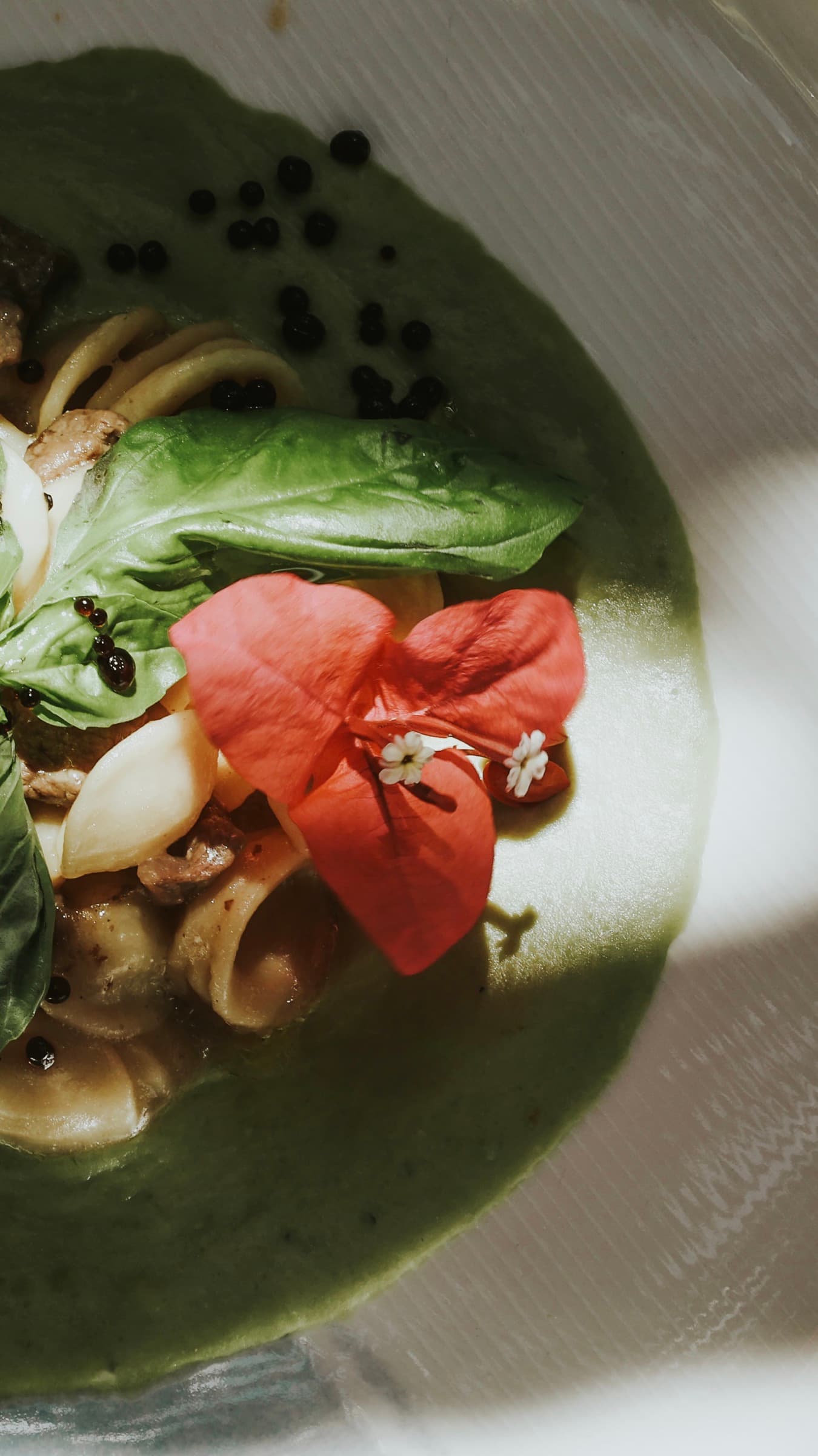 Orecchiette with Herb Purée