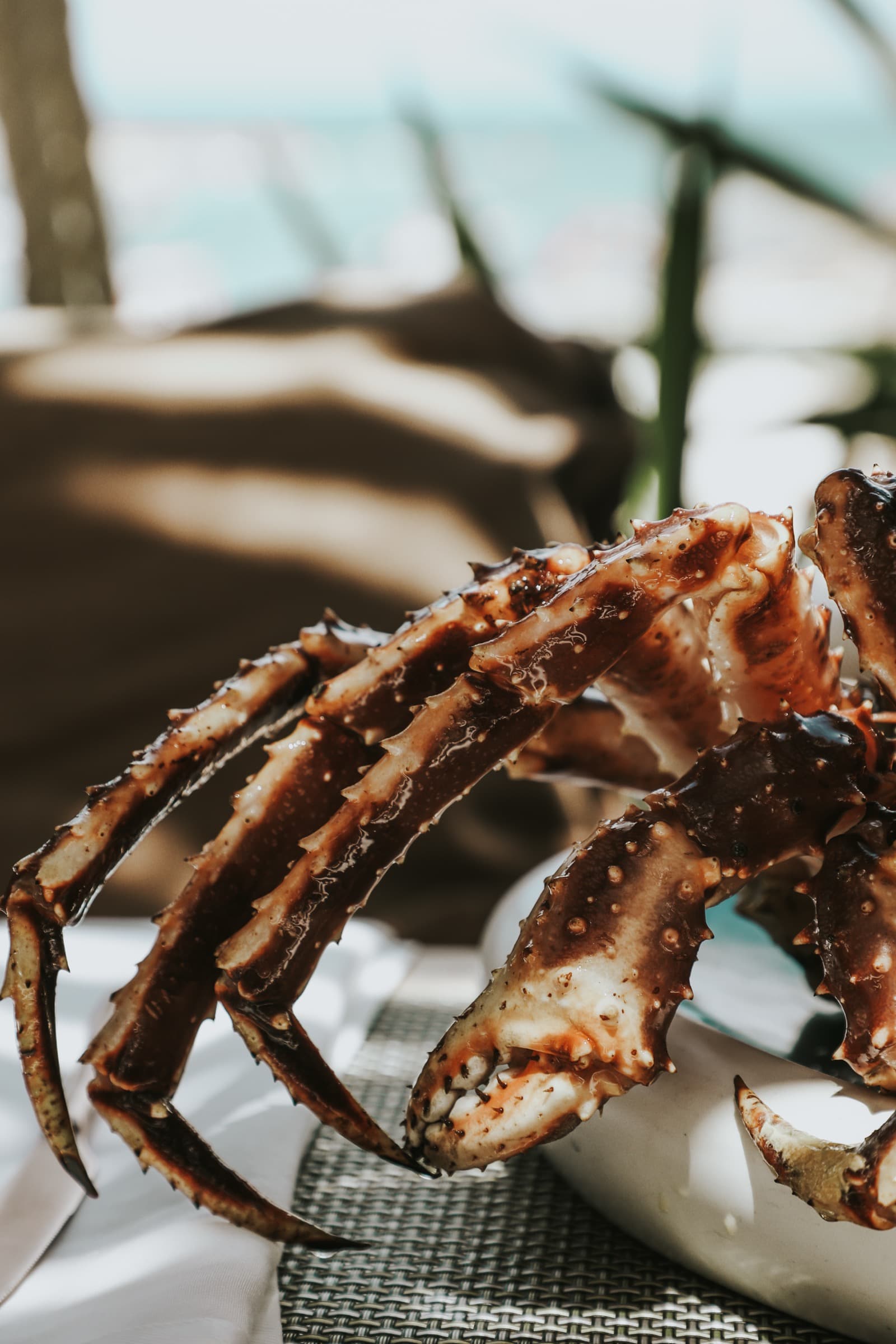King Crab